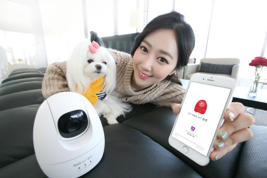 KT는 안심 알림 서비스, 화질 개선, 자동 회전 스캐닝 기능을 제공하는 홈CCTV 상품 '기가 사물인터넷(IoT) 홈캠2'를 출시한다고 2일 밝혔다. 회사 모델이 '기가 IoT 홈캠2' 출시를 알리고 있다. <KT 제공>